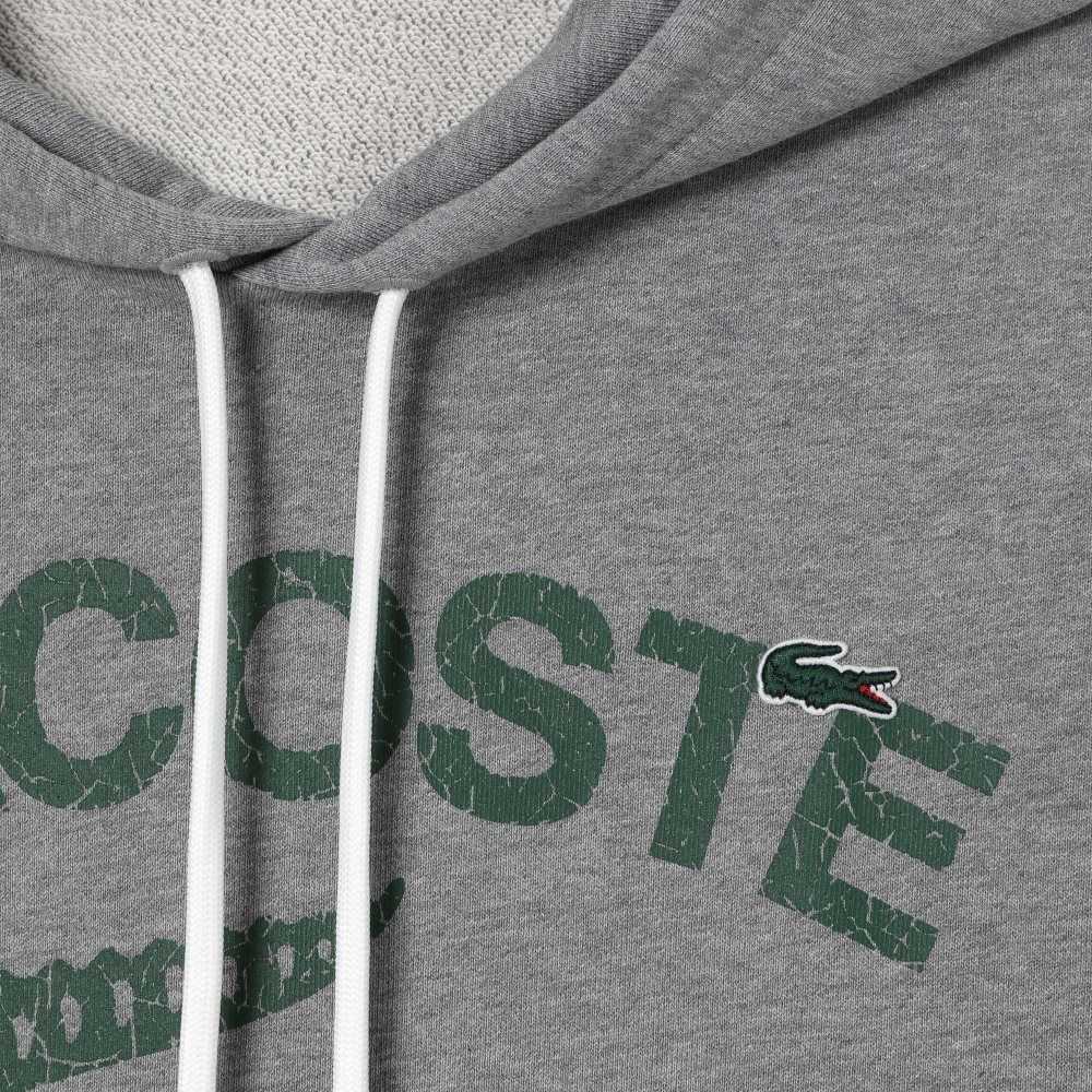 Lacoste Loose Fit Crocodile Encapuchado Gris | 5438-OHFSP