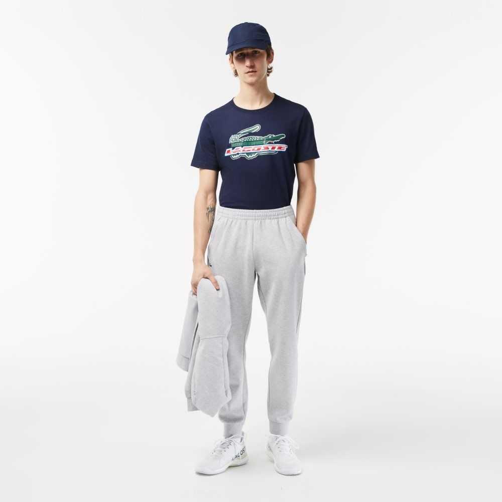 Lacoste Mesh Panels Trackpants Gris Gris Claro | 3948-HYTVU