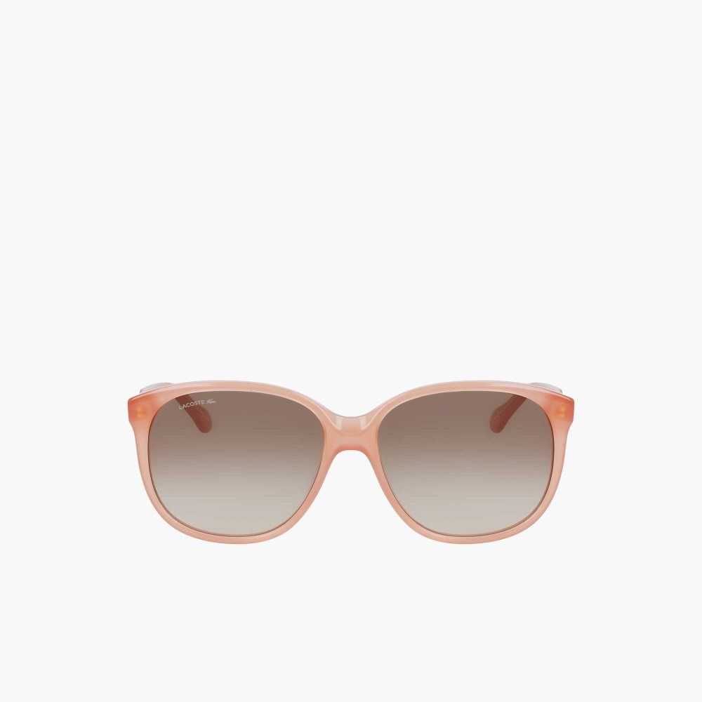 Lacoste Modified Rectangle Acetate Oversize Look Rosas | 3517-QZHFU