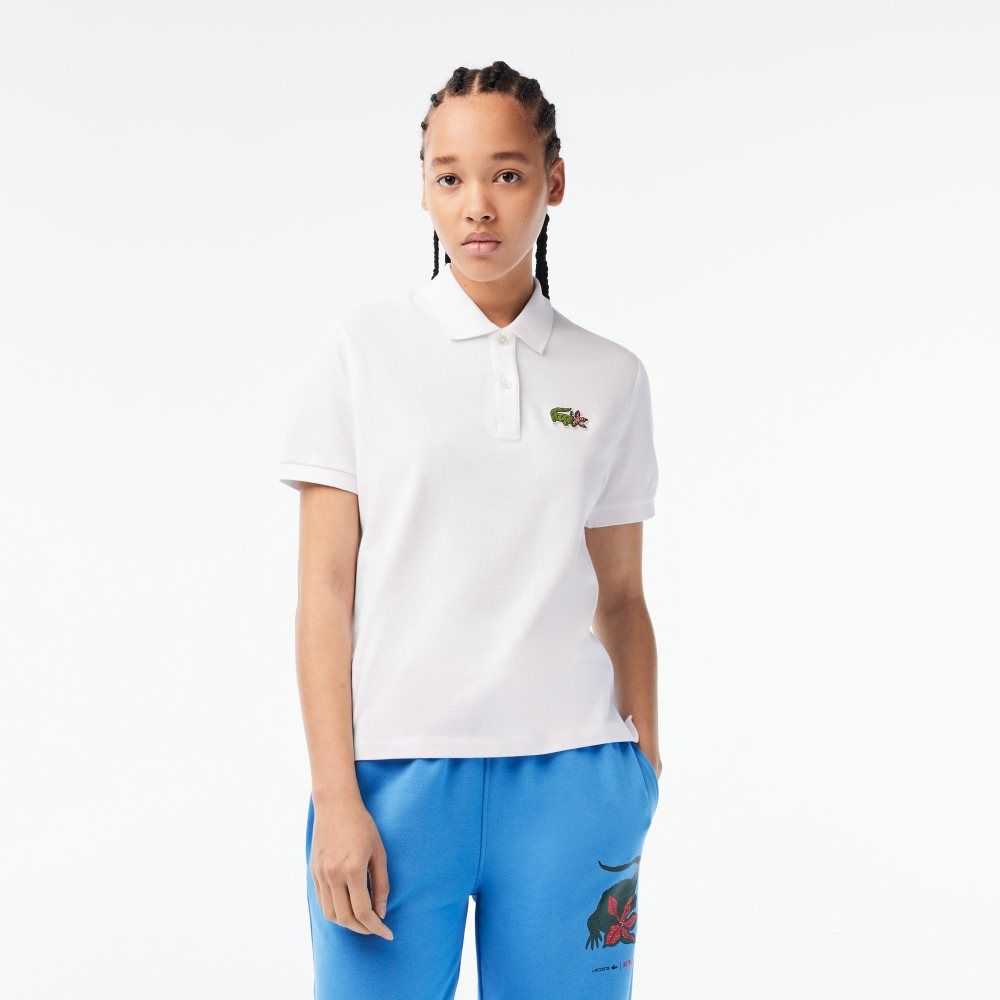 Lacoste Netflix Crocodile Multicolor | 1836-YWOMK