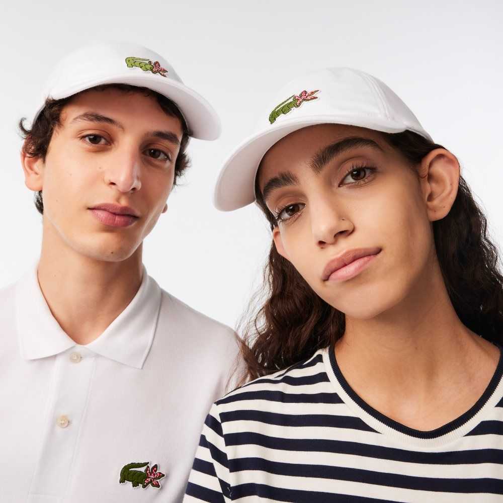 Lacoste Netflix Crocodile Multicolor | 4095-TJUIC