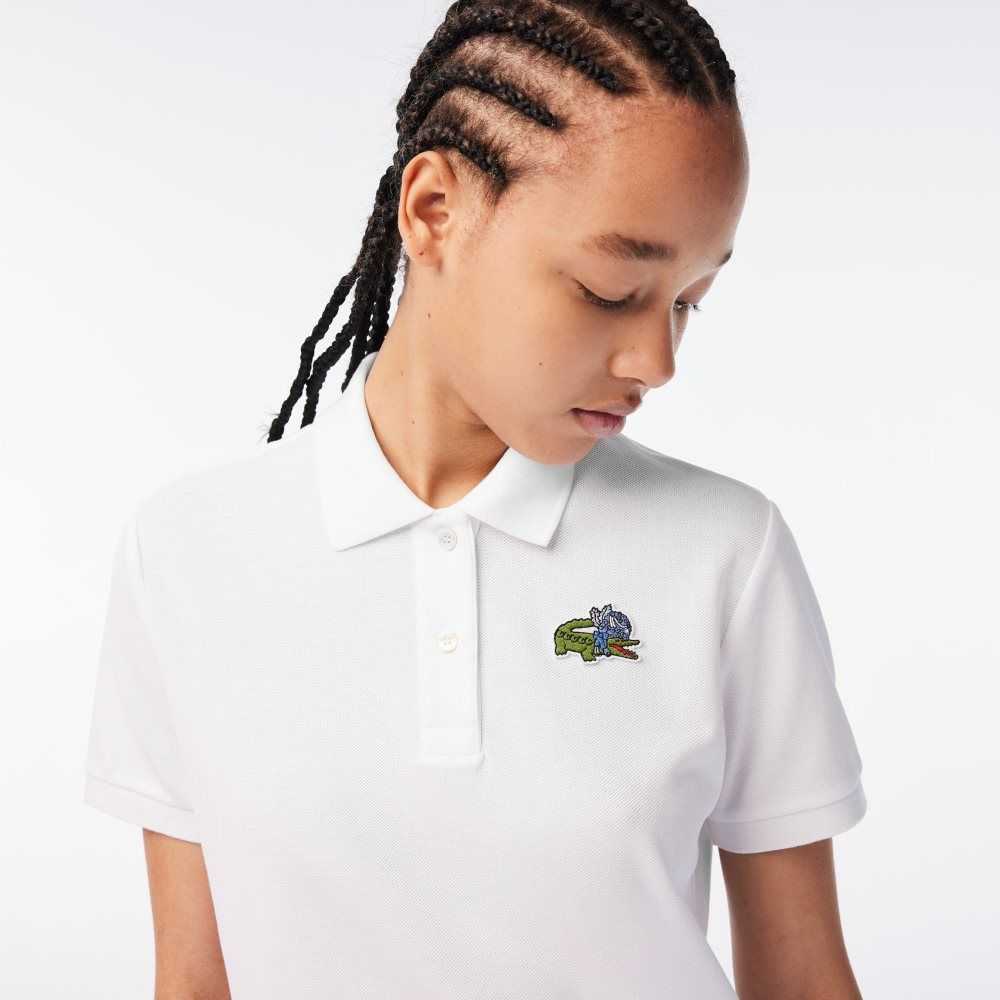 Lacoste Netflix Crocodile Multicolor | 7590-TDUKY