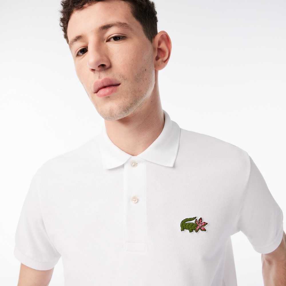 Lacoste Netflix Organic Algodon Multicolor | 1798-GPELW