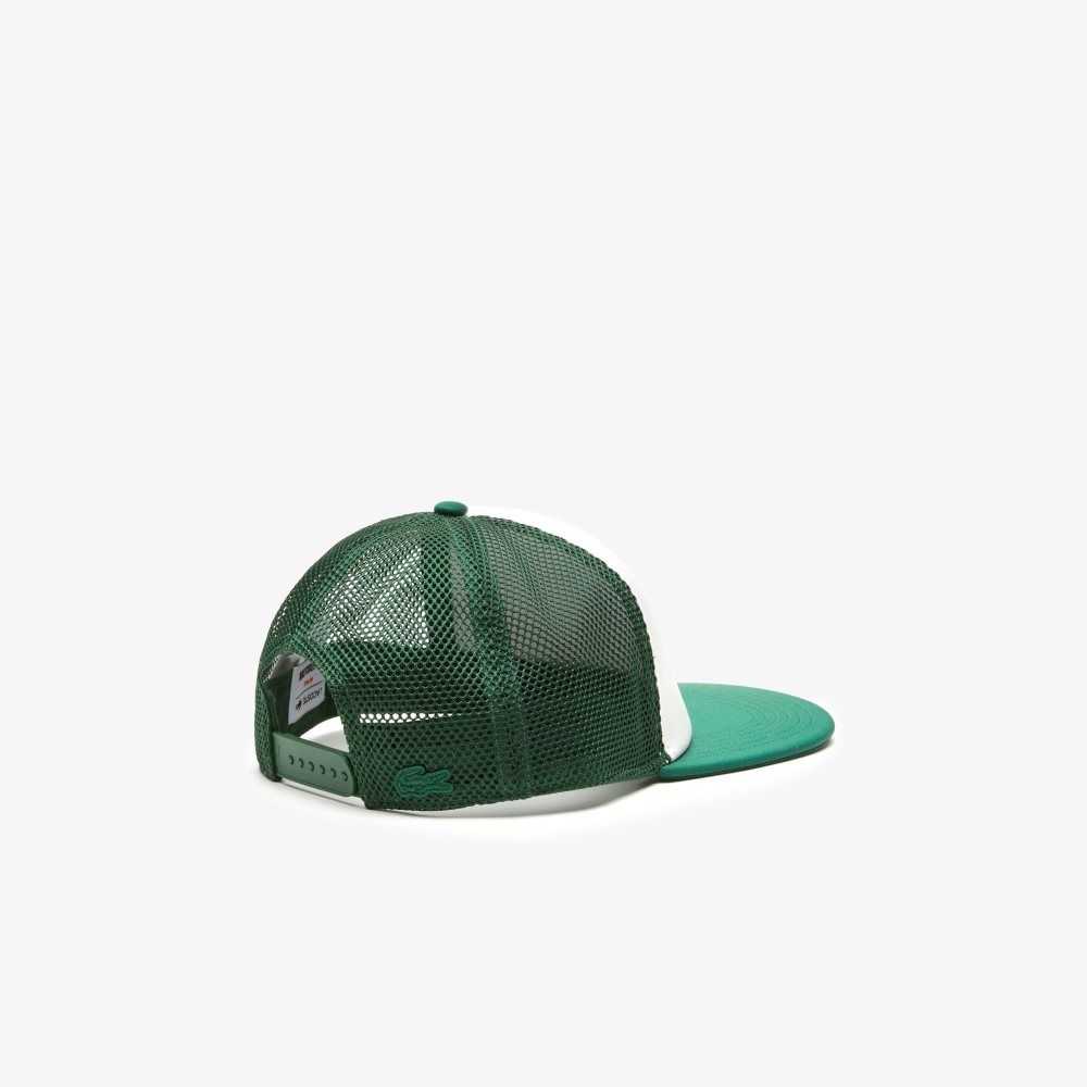 Lacoste Netflix Verde | 8327-TRFMN