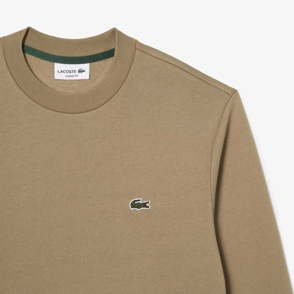 Lacoste Organic Brushed Algodon Beige | 2507-EZCYX