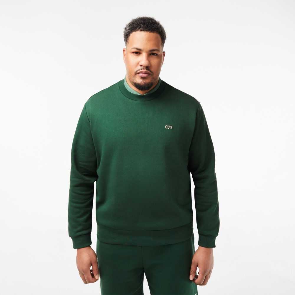 Lacoste Organic Brushed Algodon Verde | 2076-IWMPR