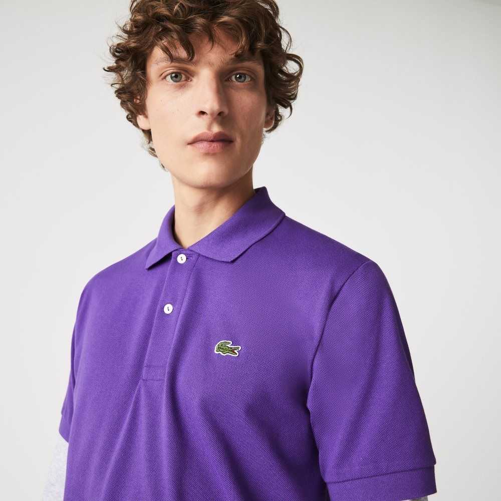 Lacoste Original L.12.12 petit pique cotton Moradas | 7294-WSJDV