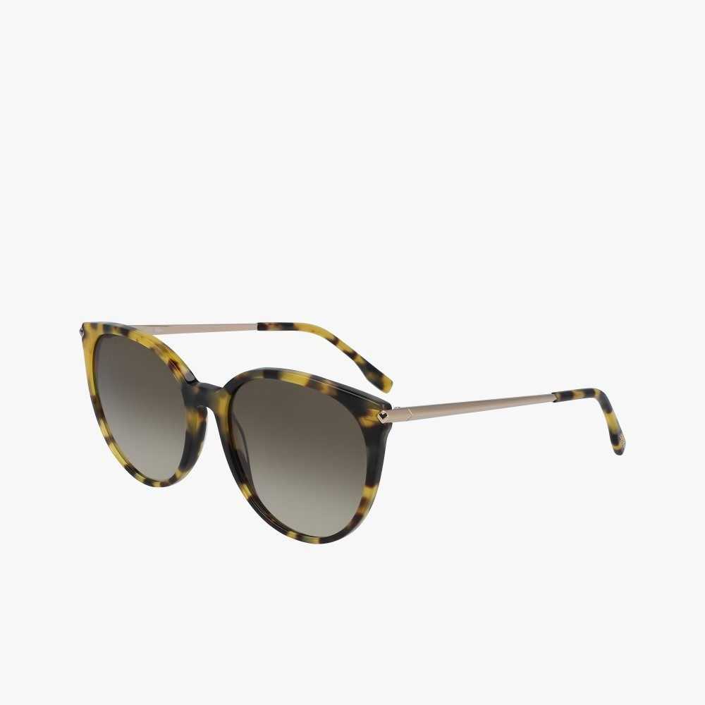 Lacoste Oval Acetate La Piquee Multicolor | 8306-QIDAC