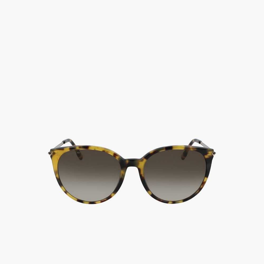 Lacoste Oval Acetate La Piquee Multicolor | 8306-QIDAC