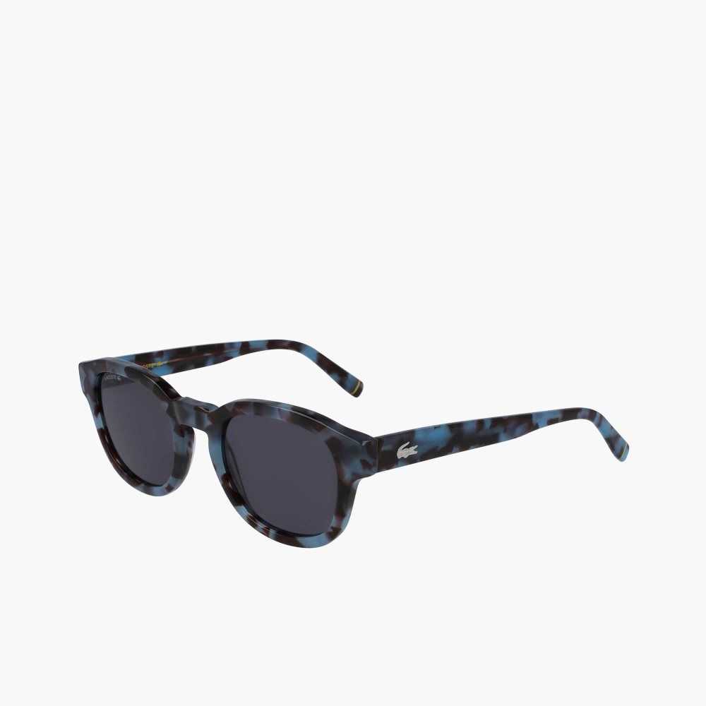 Lacoste Oval Bio Acetate National Geographic Burdeos | 0681-ZBUIH