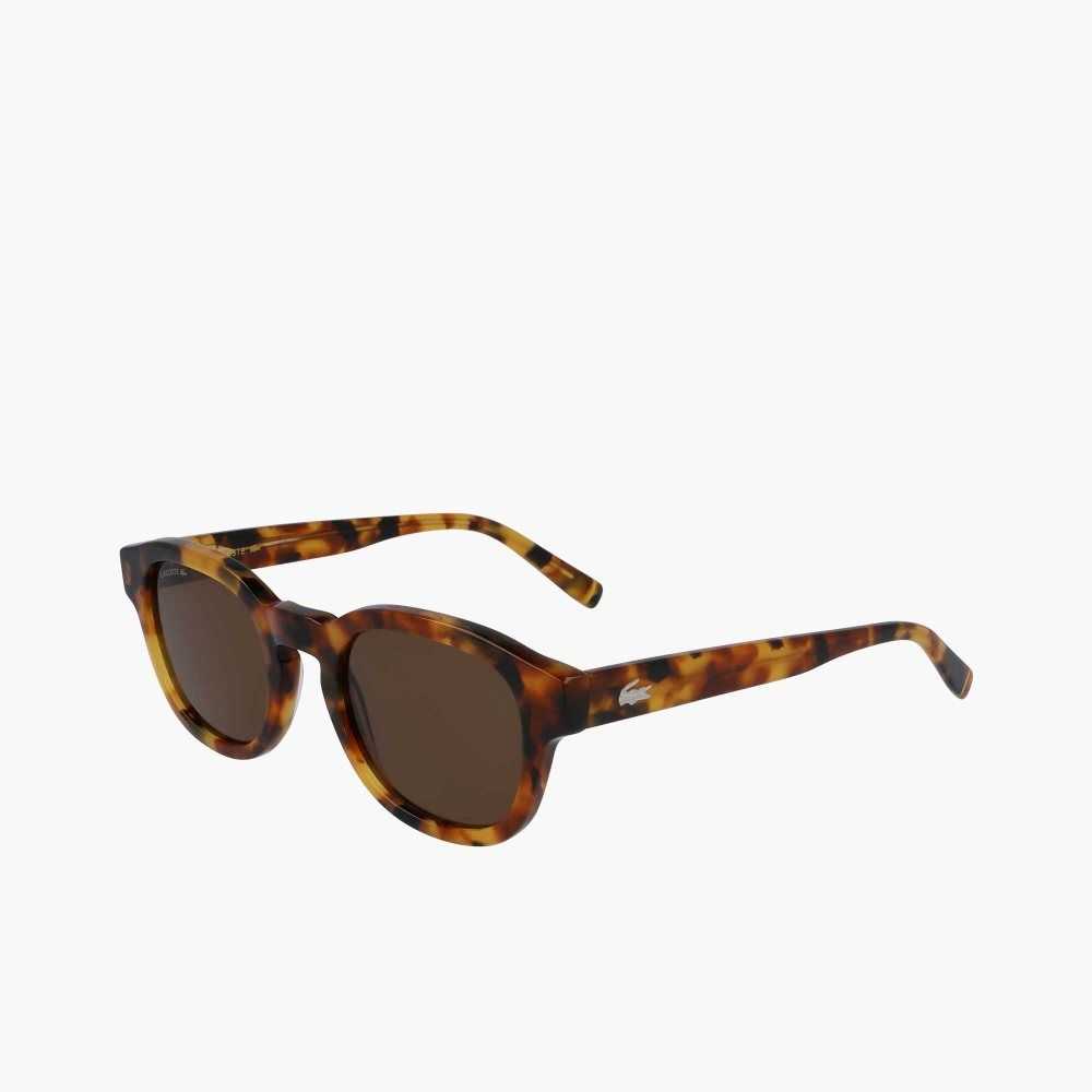 Lacoste Oval Bio Acetate National Geographic Multicolor | 4360-ZMOIW