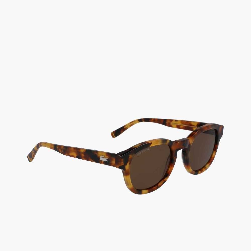 Lacoste Oval Bio Acetate National Geographic Multicolor | 4360-ZMOIW