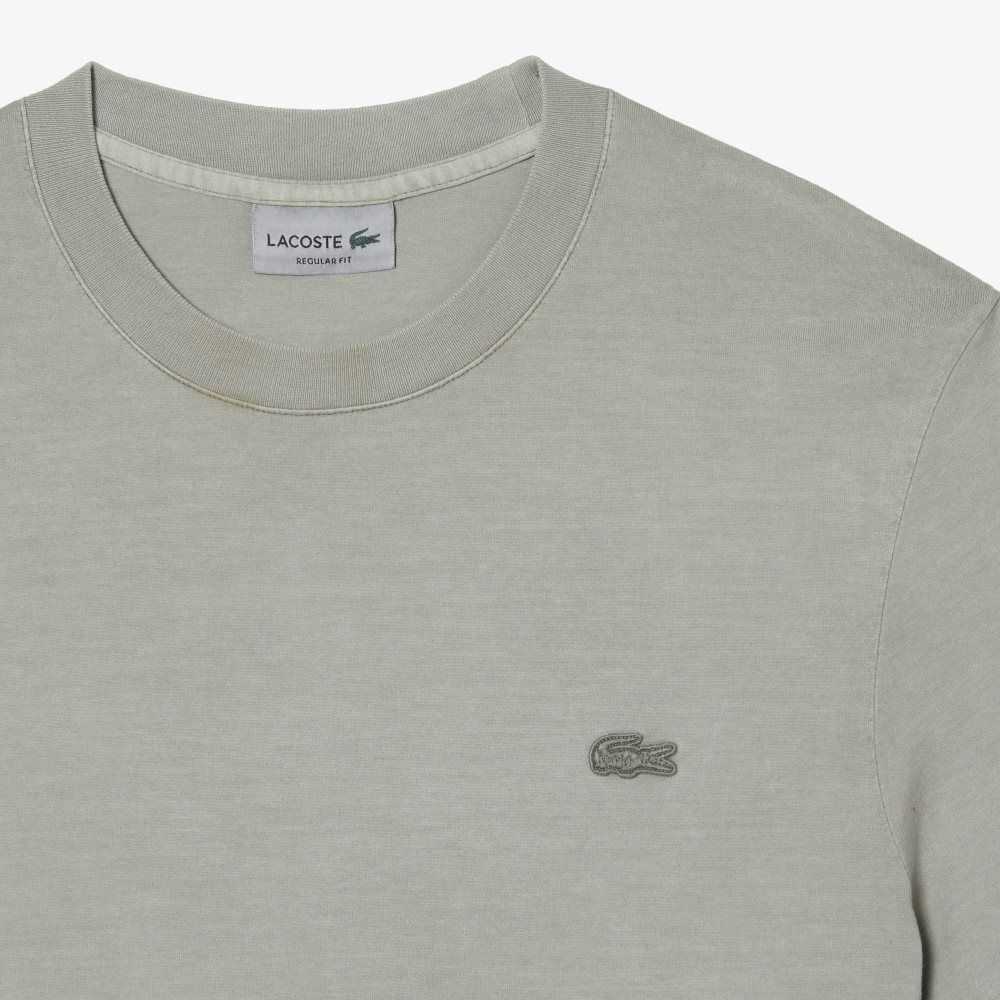 Lacoste Plain Organic Algodon Verde Claro | 2463-DGRHB