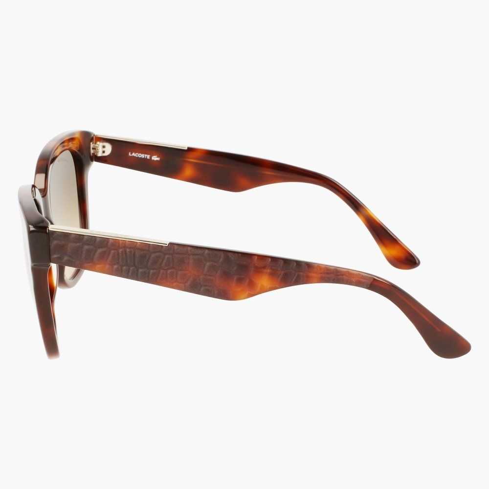 Lacoste Rectangle Acetate Croco Skin Multicolor | 3495-TYMGW