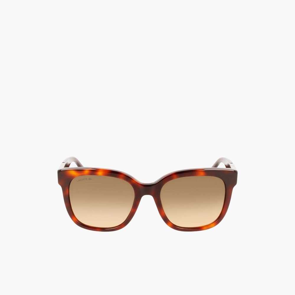 Lacoste Rectangle Acetate Croco Skin Multicolor | 3495-TYMGW