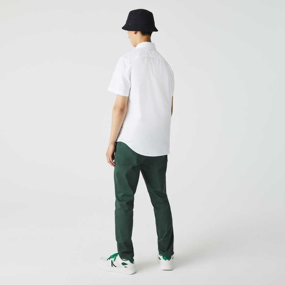 Lacoste Regular Fit Algodon Blancas | 3862-NRKSA