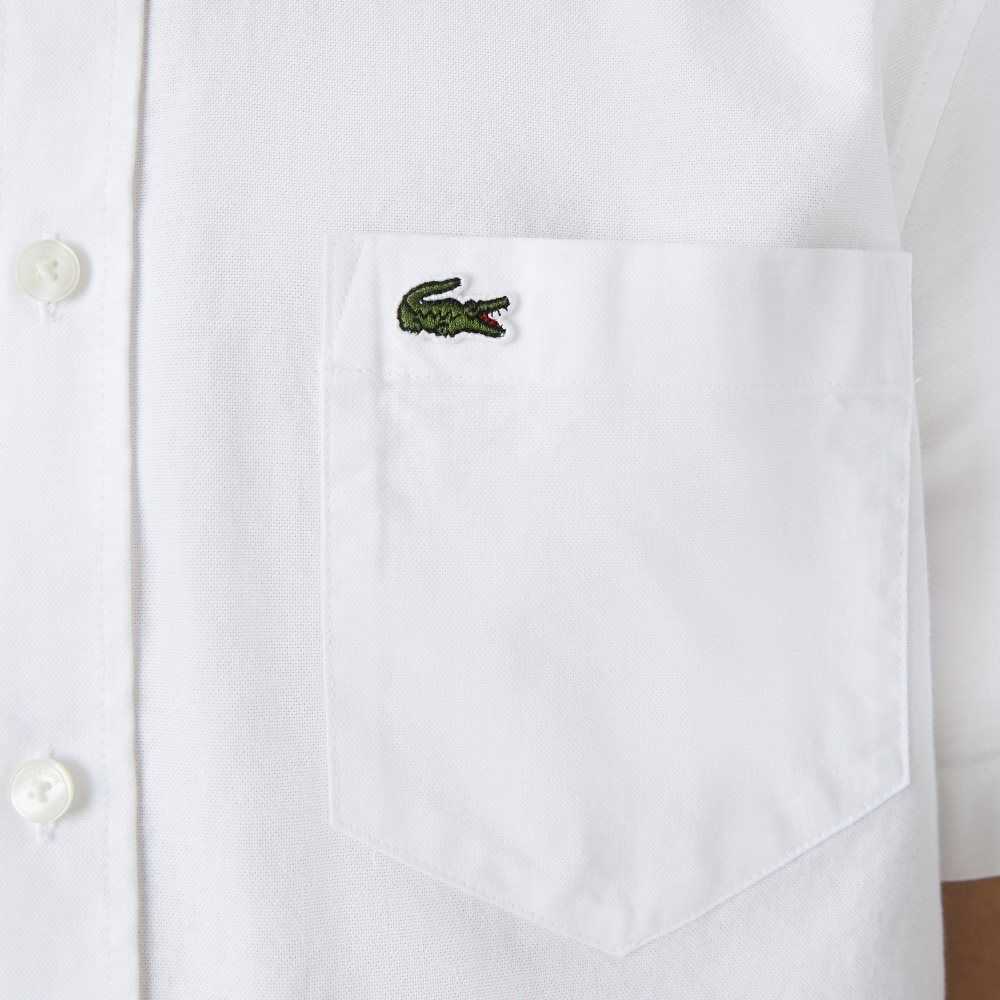 Lacoste Regular Fit Algodon Blancas | 3862-NRKSA