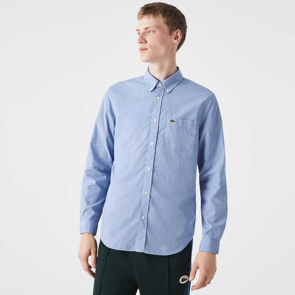 Lacoste Regular Fit Algodon Poplin Blancas Azules | 6251-JISLB