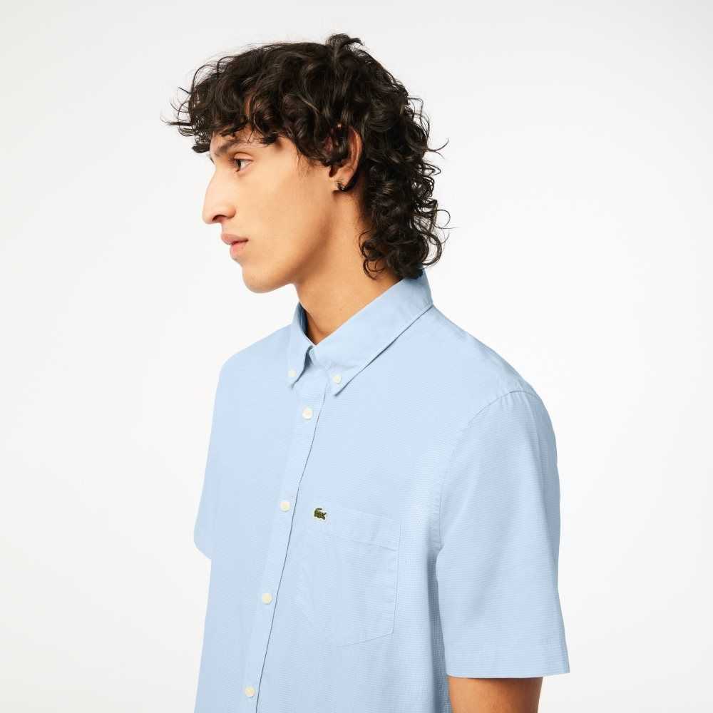 Lacoste Regular Fit Gingham Check Blancas Azules | 4390-ZXNHO