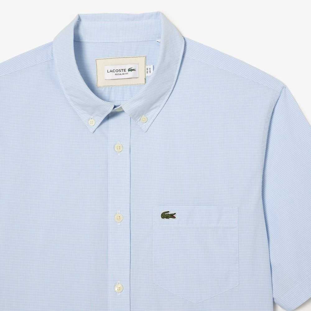 Lacoste Regular Fit Gingham Check Blancas Azules | 4390-ZXNHO