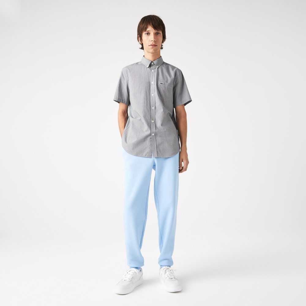 Lacoste Regular Fit Gingham Check Blancas Azul Marino Azules | 6497-AJTOV