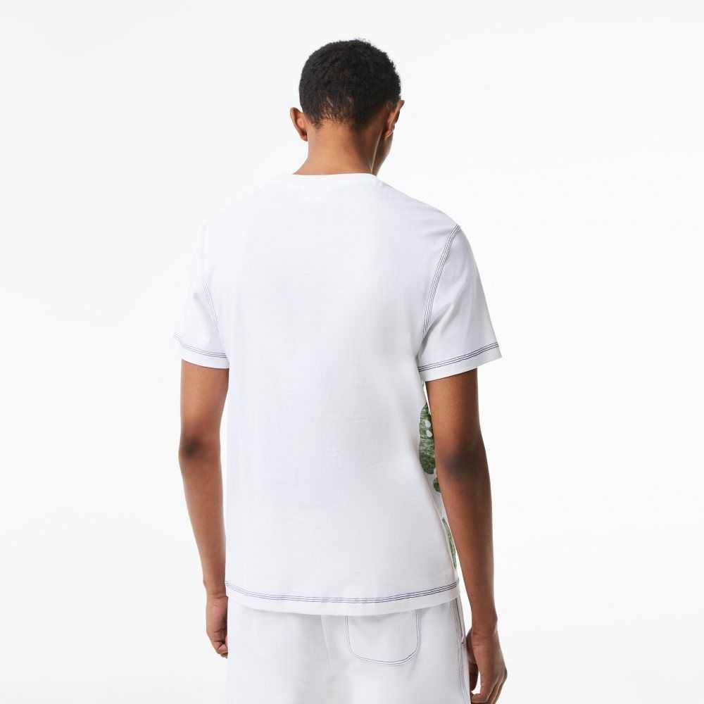 Lacoste Regular Fit Organic Algodon Jersey Blancas | 5267-QPKZE