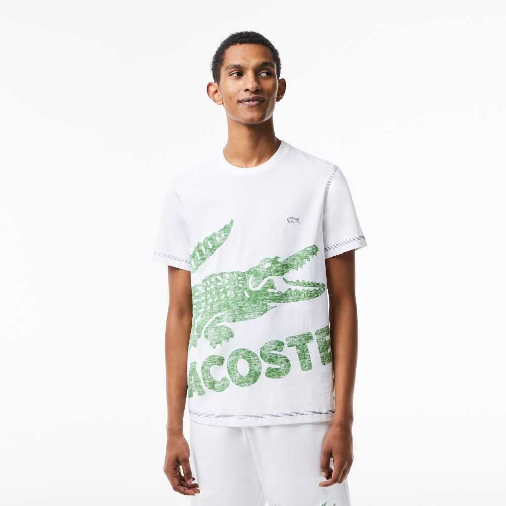 Lacoste Regular Fit Organic Algodon Jersey Blancas | 5267-QPKZE