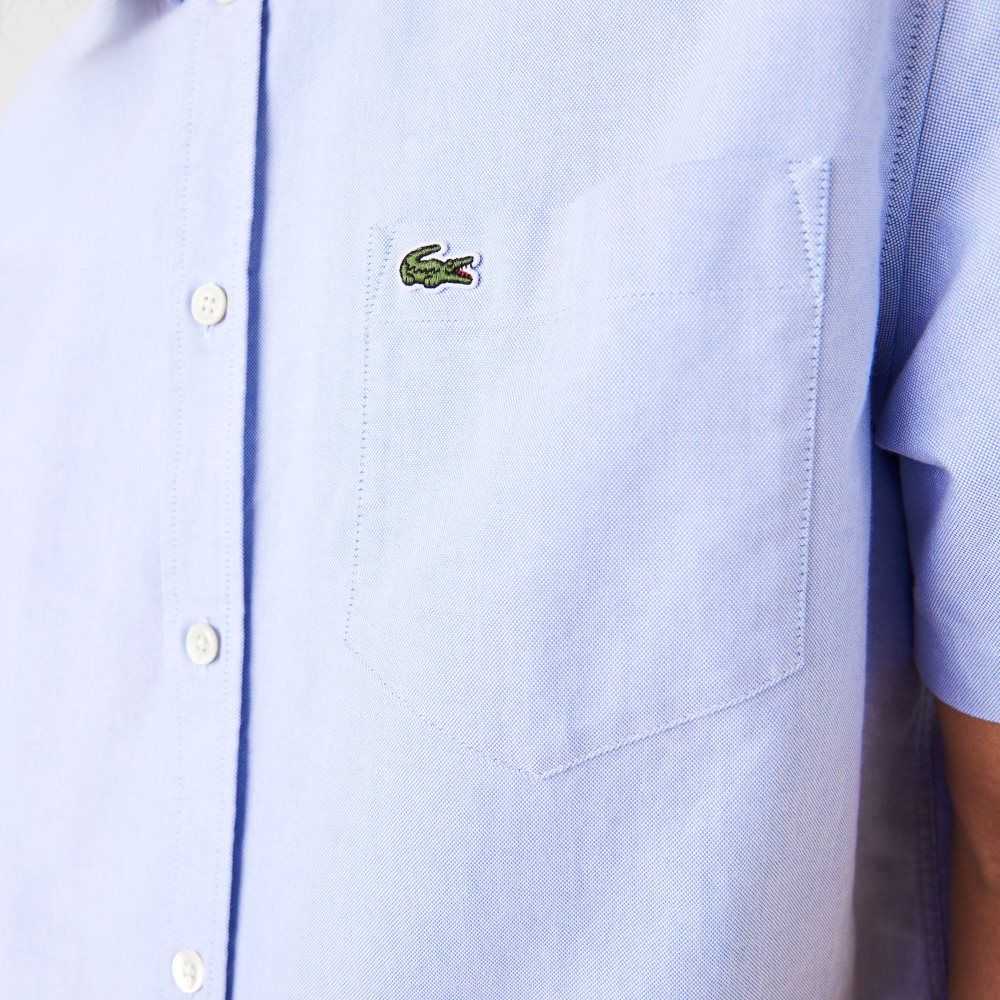 Lacoste Regular Fit Oxford Algodon Azules | 1740-AWYEQ