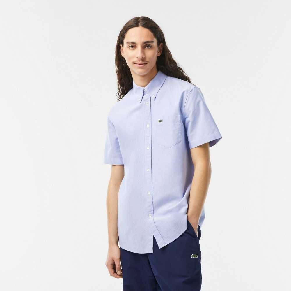 Lacoste Regular Fit Oxford Algodon Azules | 1740-AWYEQ