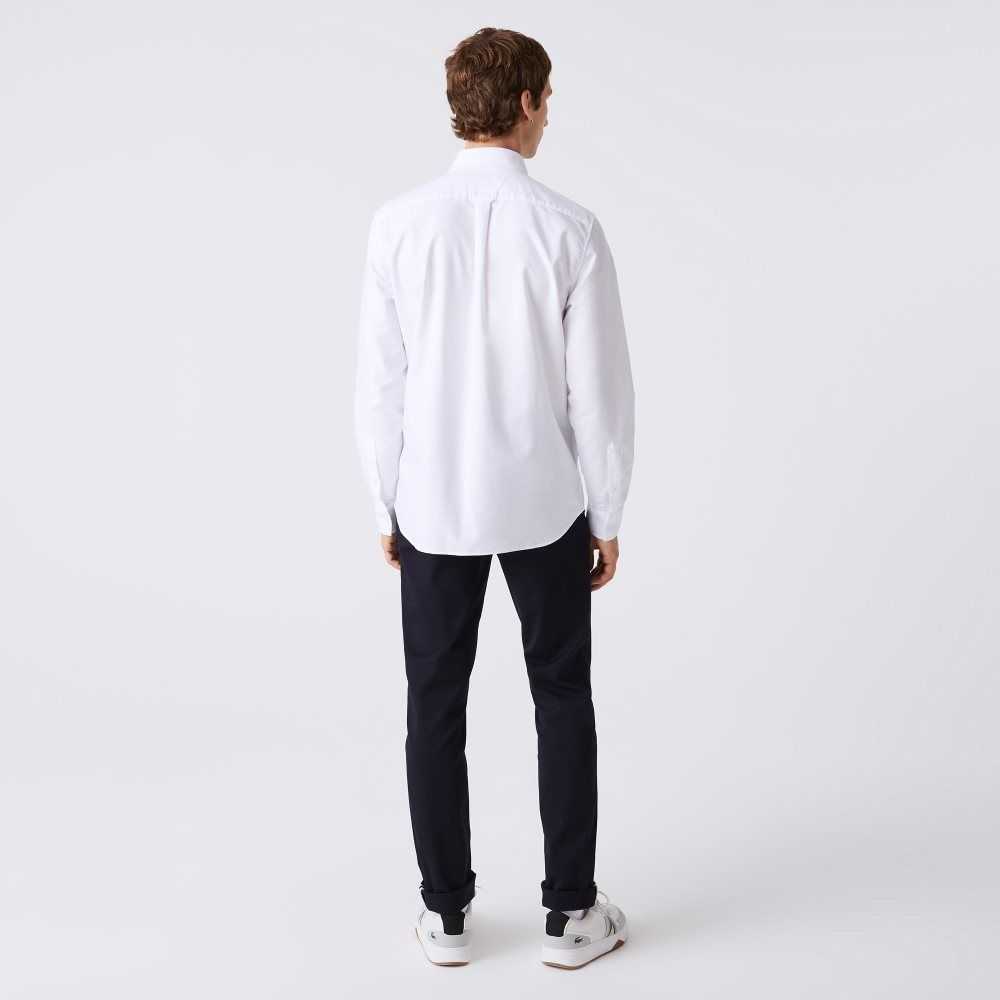 Lacoste Regular Fit Oxford Algodon Blancas | 1256-MNELD