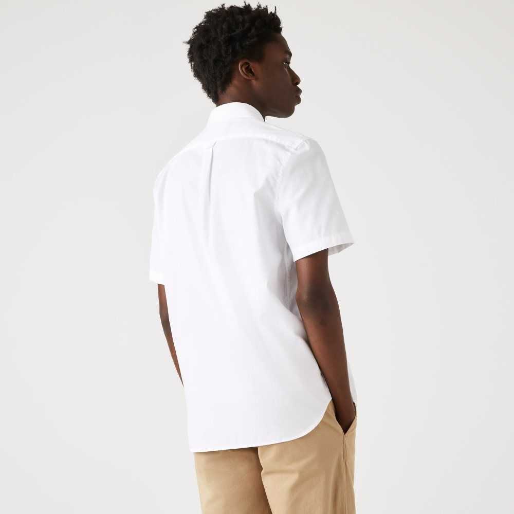 Lacoste Regular Fit Oxford Algodon Blancas | 6987-QBELR