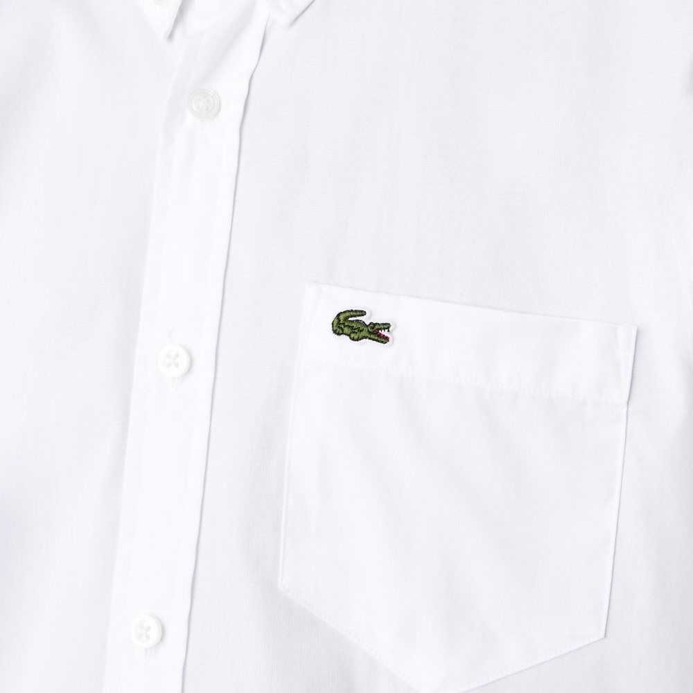 Lacoste Regular Fit Oxford Algodon Blancas | 6987-QBELR