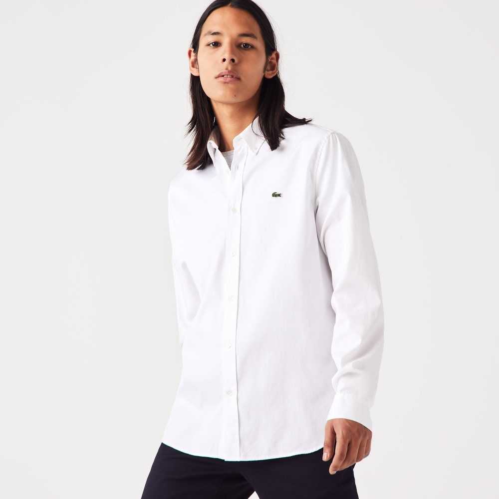 Lacoste Regular Fit Premium Algodon Blancas | 0963-SVUDY