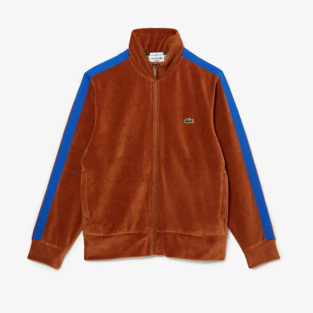 Lacoste Regular Fit Velvet Zip Sweatshirt Marrones | 4652-DIKUJ