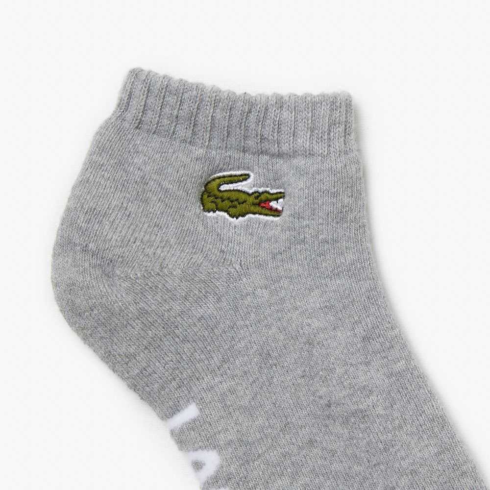 Lacoste SPORT Branded Stretch Algodon Low-Cut Gris Blancas | 2913-HSJYK