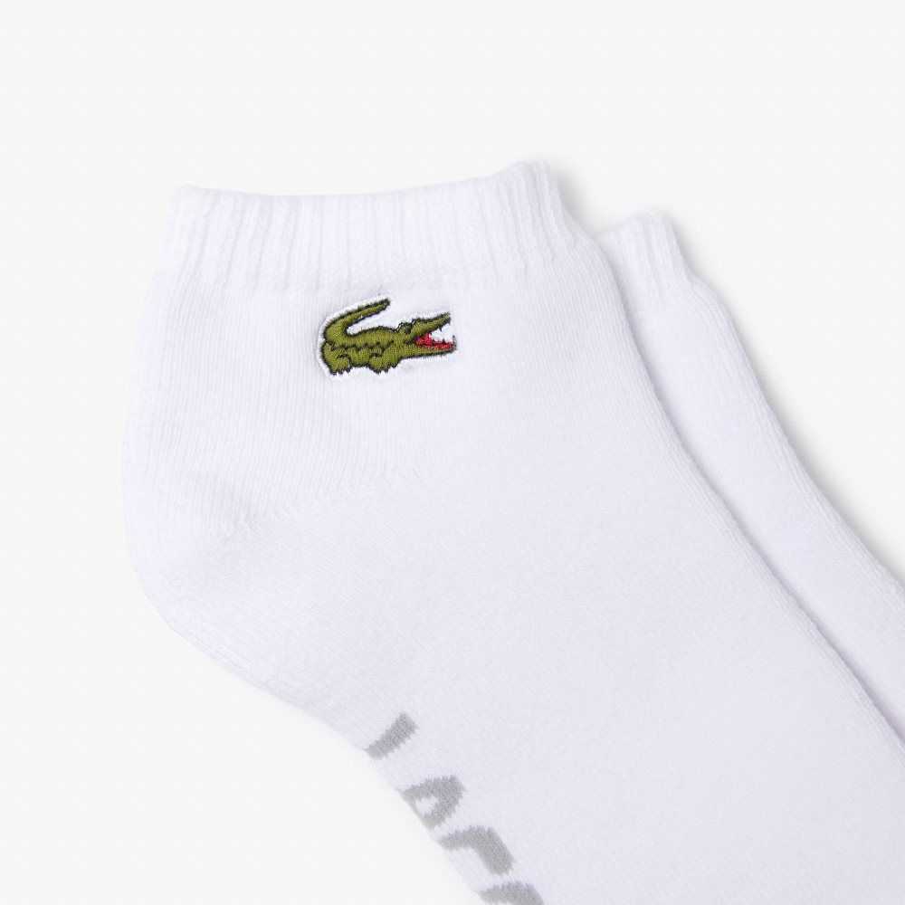 Lacoste SPORT Branded Stretch Algodon Low-Cut Blancas Gris | 4603-HTCDZ