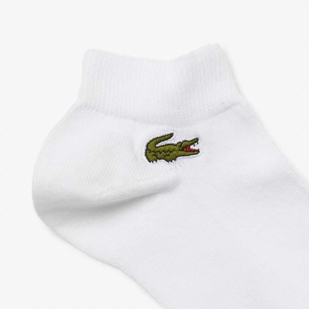 Lacoste SPORT Low-Cut 3-Pack Blancas | 4785-AOUFP