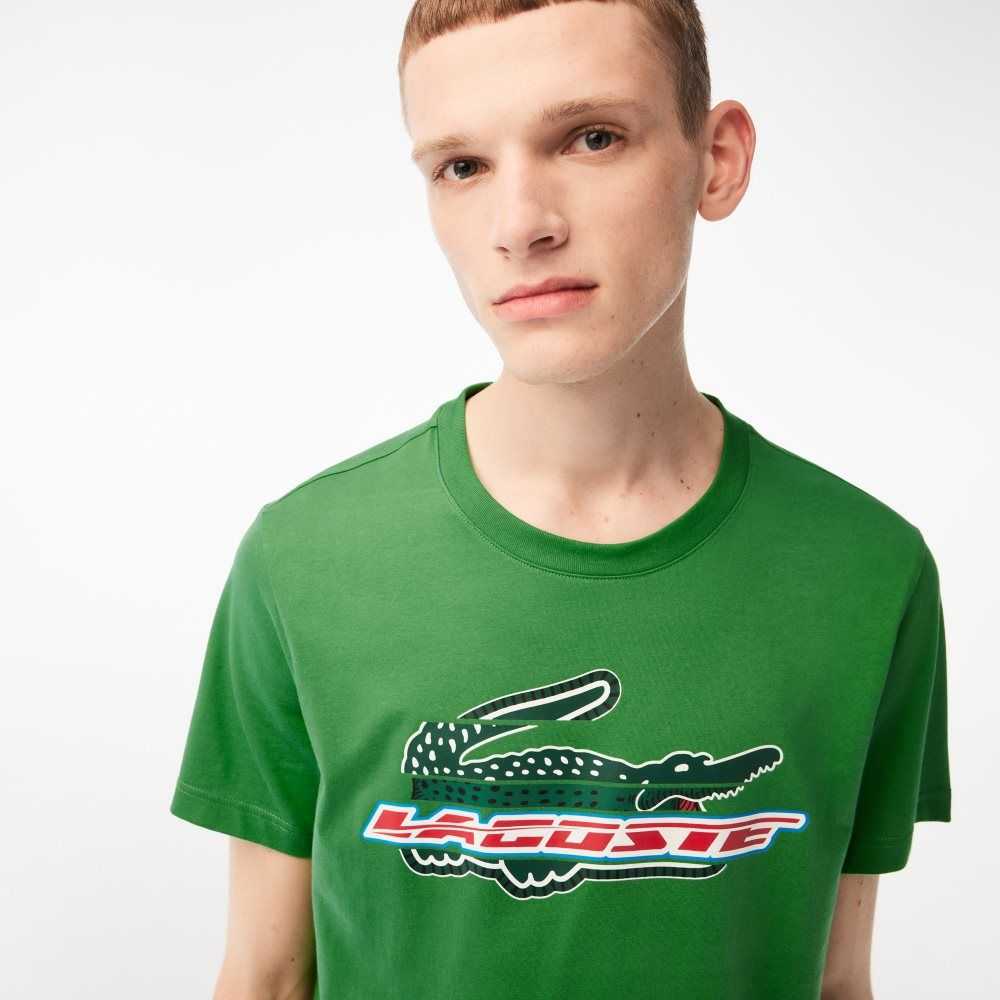 Lacoste SPORT Regular Fit Organic Algodon Verde | 8276-ZTKWS