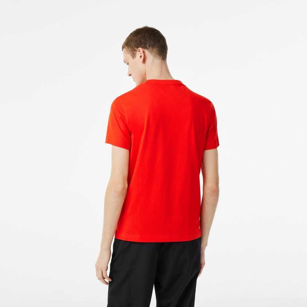 Lacoste SPORT Regular Fit with Contrast Branding Rojas | 2178-GNEAW