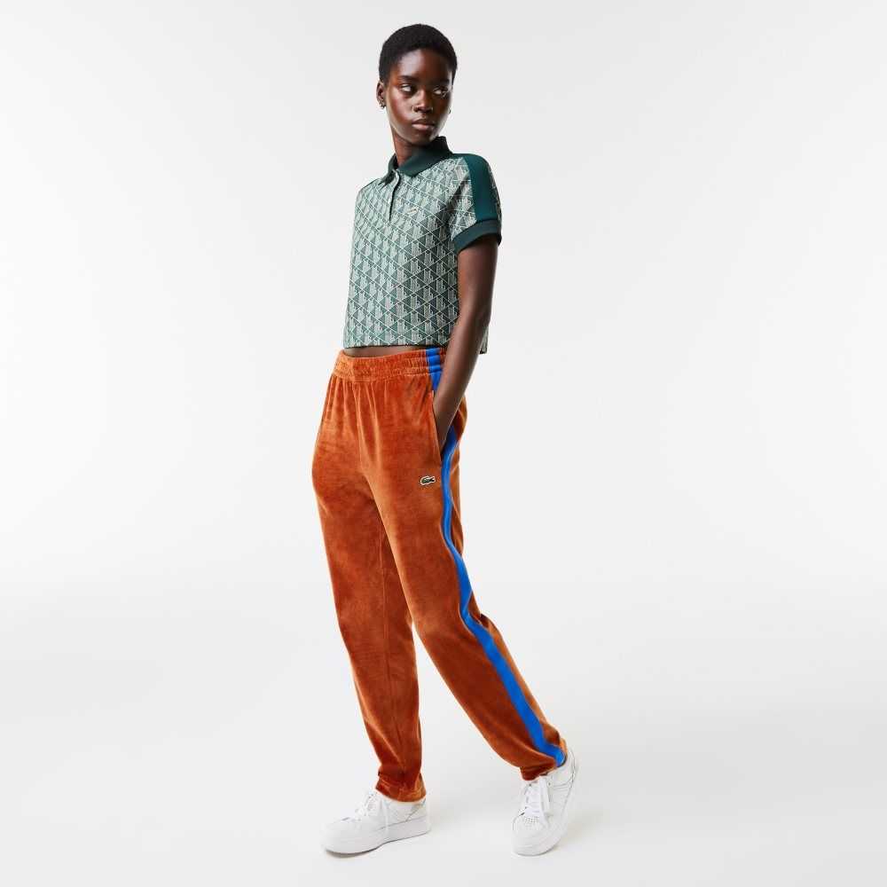 Lacoste Side Contrast Band Trackpants Marrones | 8106-ARTKI