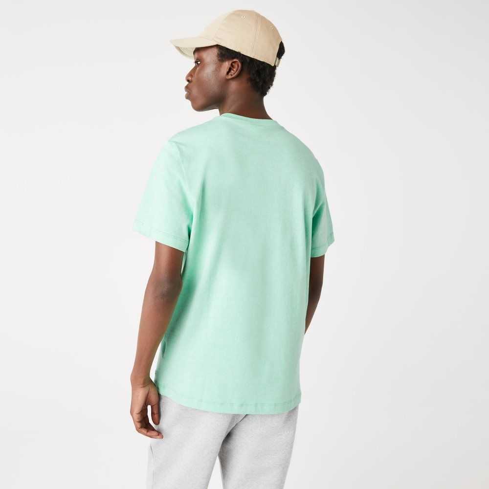 Lacoste Signature And Crocodile Print Crew Neck Algodon Verde | 3189-IMOZN