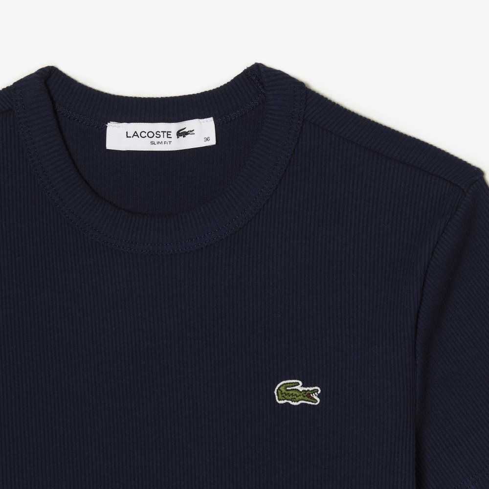 Lacoste Slim Fit Organic Algodon T-Shirt Azul Marino Azules | 9537-DFHPB