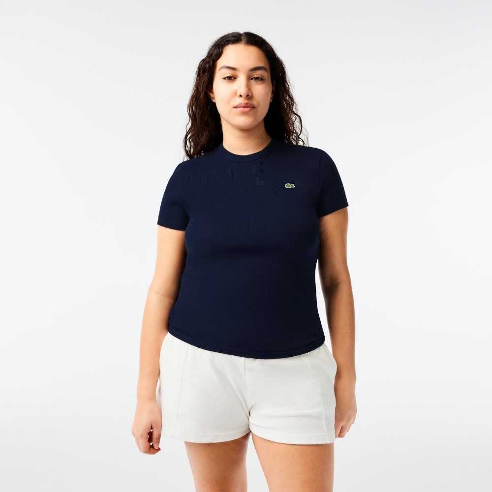 Lacoste Slim Fit Organic Algodon T-Shirt Azul Marino Azules | 9537-DFHPB