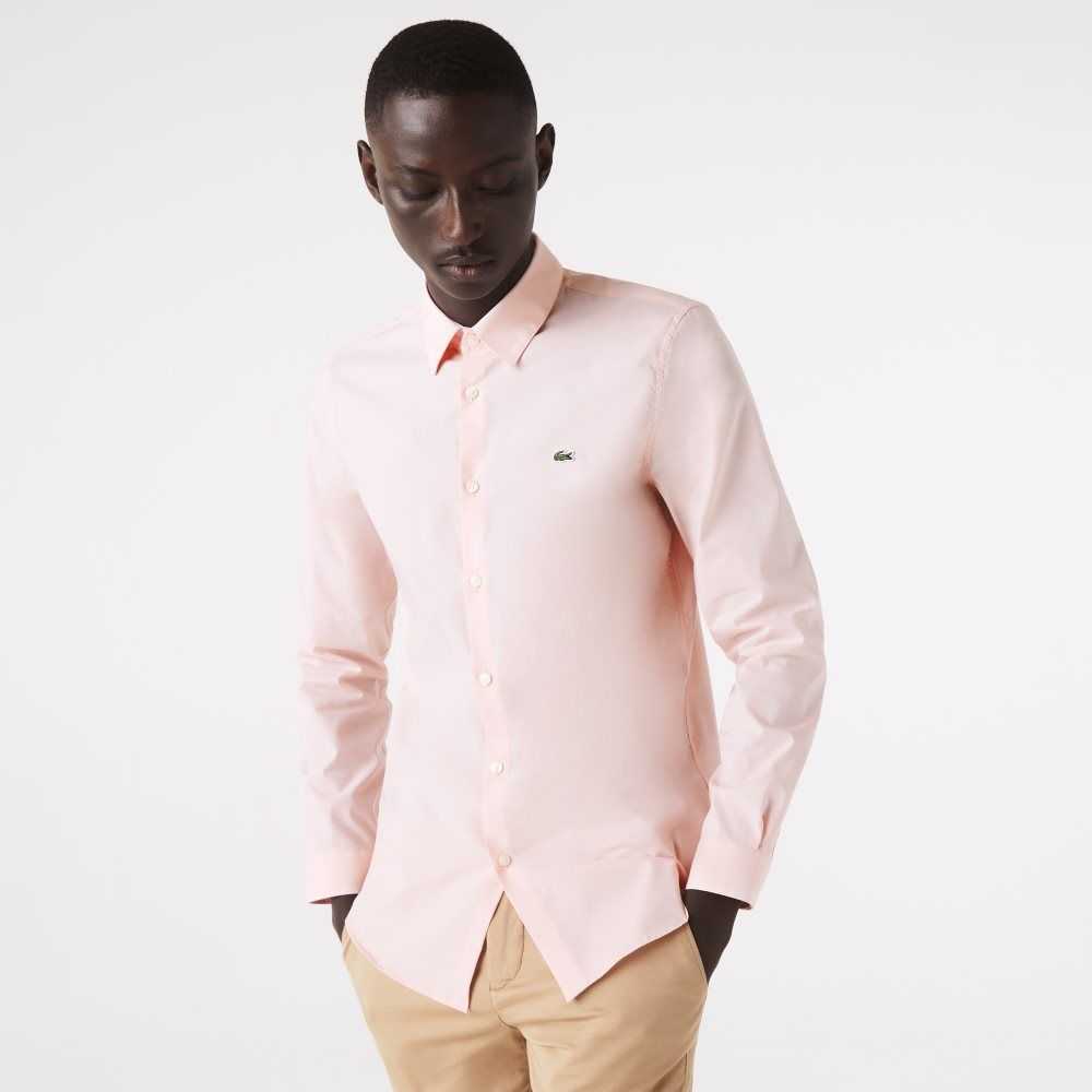 Lacoste Slim Fit Stretch Algodon Poplin Rosas Claro | 1296-OVWFI