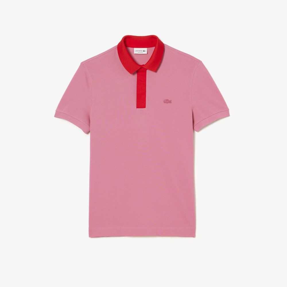 Lacoste Smart Paris with cotton Petit Pique Rosas Rojas | 1694-ZRJQV