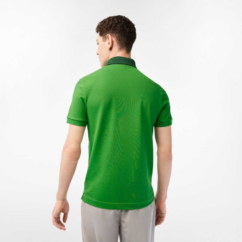 Lacoste Smart Paris with cotton Petit Pique Verde | 4967-WNLQS