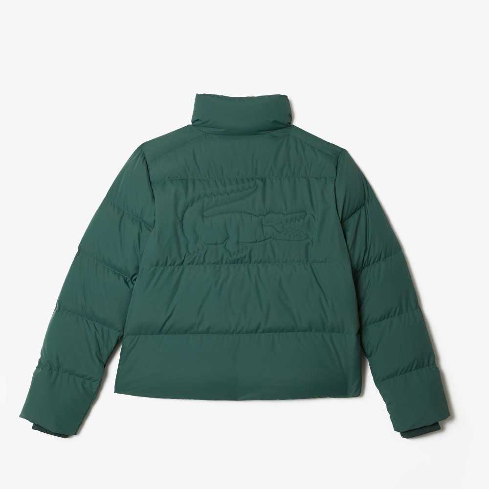 Lacoste Stowable Hood Acolchado Verde | 1072-CBLEQ