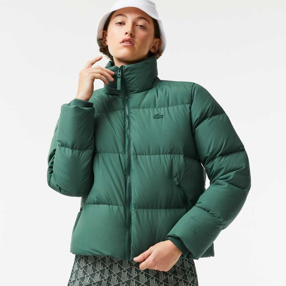 Lacoste Stowable Hood Acolchado Verde | 1072-CBLEQ