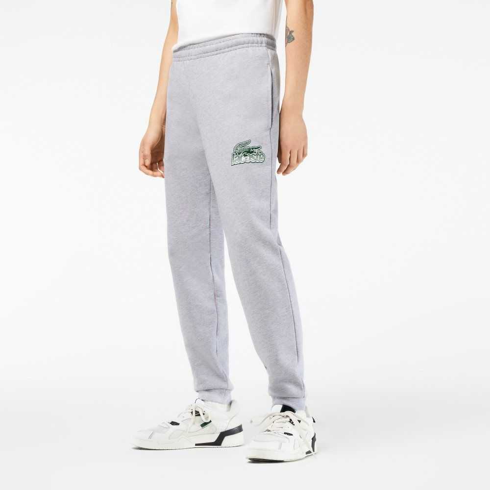 Lacoste Unbrushed Fleece Pista Pants Gris | 2036-OTFYU