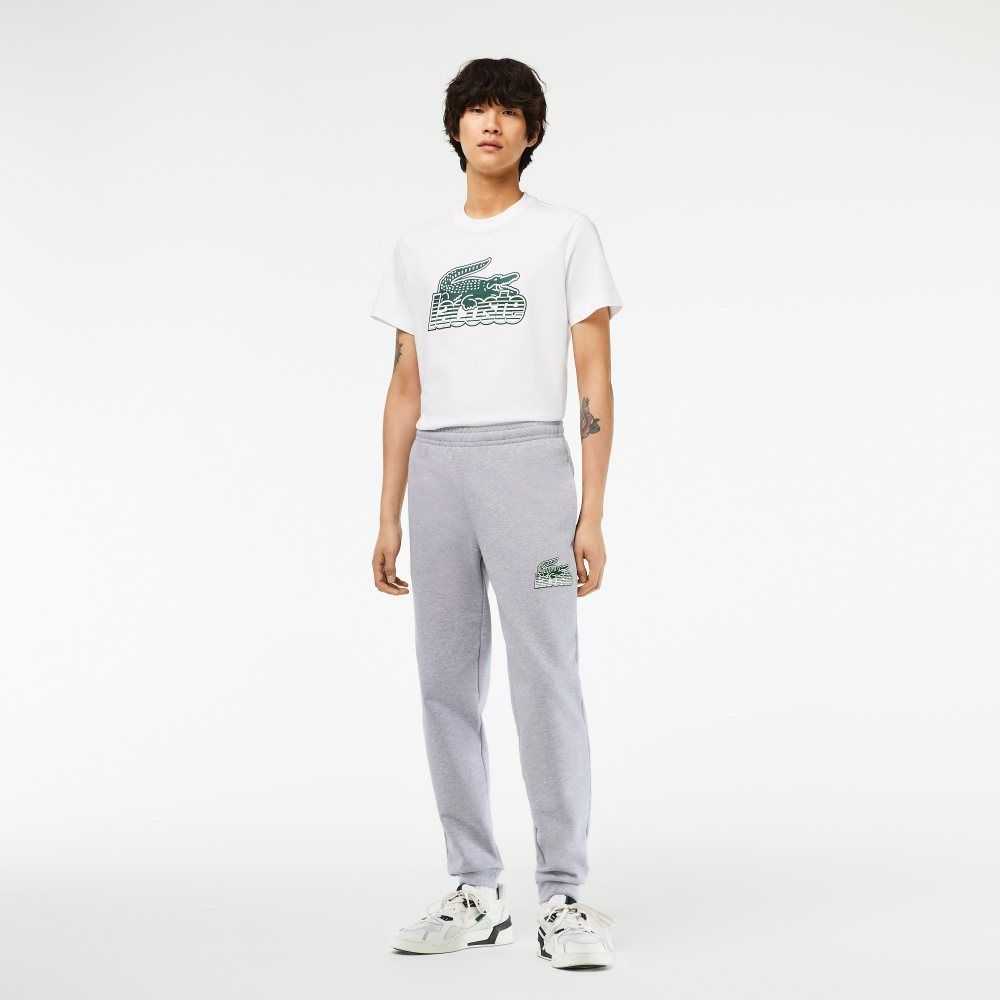 Lacoste Unbrushed Fleece Pista Pants Gris | 2036-OTFYU